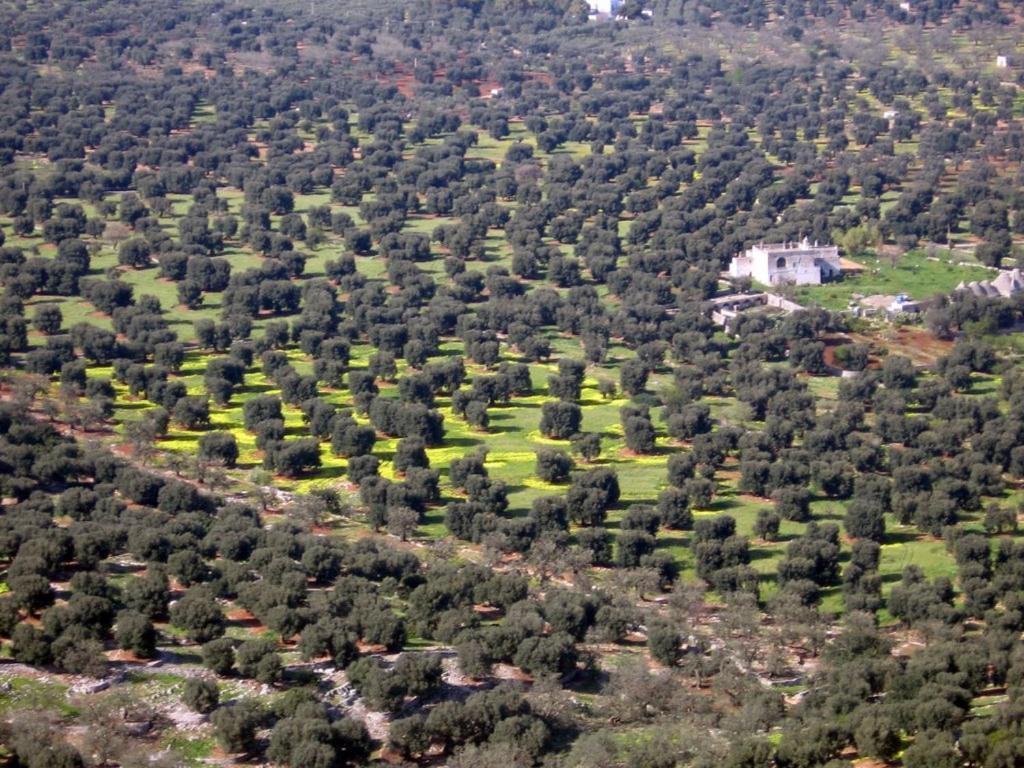 I Trulli Di Acquarossa Cisternino Exterior foto